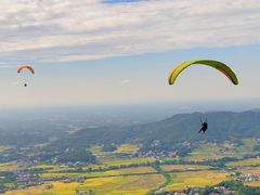 -长沙黑麋峰国家森林公园