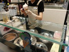 -野人先生现做冰淇淋(西安赛格店)