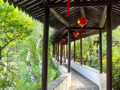 -上海醉白池公园