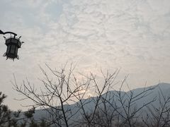 -黄金寨原生态旅游区
