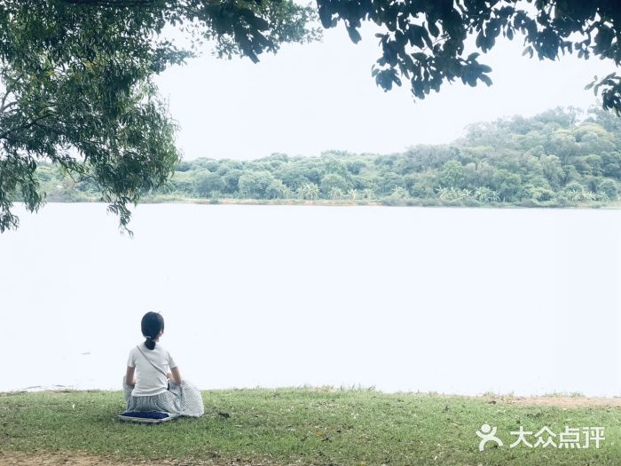 松山湖南湖湾露营营地图片