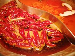 -小龙坎火锅(IFS HOT店)