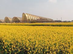 -中国天府农业博览园