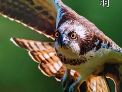 -Sony Store 索尼(上海淮海中路店)