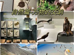 -四川大学博物馆