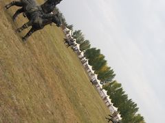 -坝上草原大汗行宫旅游景区