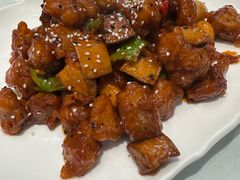 -正阳春烤鸭(华捷道店)