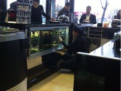 -BLACKSWAN黑天鹅(环球店)