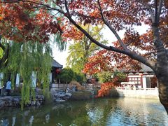 -常熟方塔园