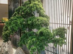 -聚鑫阁江浙菜·非遗传承技艺(闵行交大店)