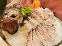 开刀大龙趸-香守·花胶鸡海鲜火锅(JW万豪店)