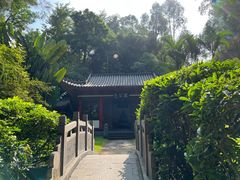 -深圳国际园林花卉博览园