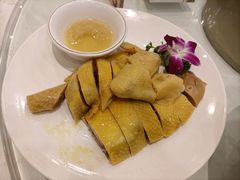 -大东海海鲜酒楼(渔人码头总店)