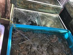 -拉威海鲜市场