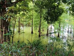 -南宁花花大世界景区