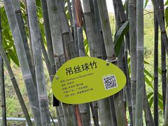 -晓港公园