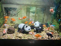 -常州海昌海洋探索馆