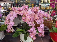 -名典餐厅(铁西立安花园店)