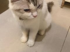 -平行世界·猫咖(首经贸店)
