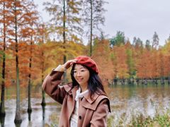 -白鹭湾湿地公园