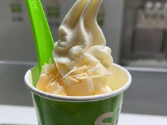 -Salud撒露欧洲冻酸奶(北苑上品店)