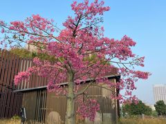 -星巴克(深圳前海企业公馆店)