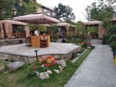 -二荆条·蜀鲜汇城市森林火锅