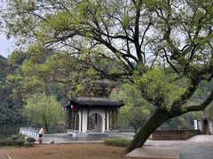 -新安江山水画廊风景区