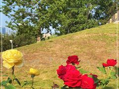 -元大都城垣遗址公园