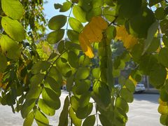 -华晨宝马铁西工厂