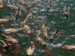 -天目湖涵田度假村