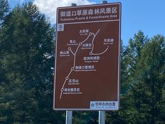 -御道口草原森林风景区