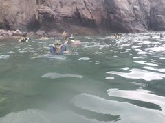 -双月湾小星山潜水·浮潜俱乐部