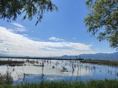 -野鸭湖国家湿地公园