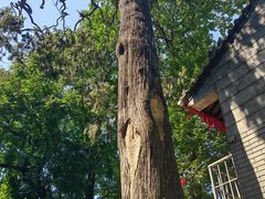 -终南山南五台景区