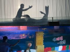 -顺德南宏海立方海洋公园