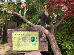 -上海野生动物园