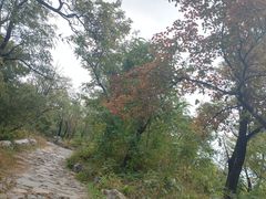 -阳台山自然风景区