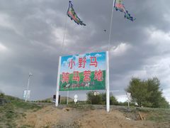-丰宁坝上草原