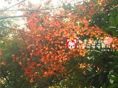 香格里拉饭店-杭州香格里拉饭店