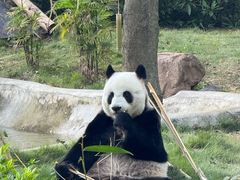 -柳州市动物园