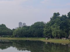 -堤角公园
