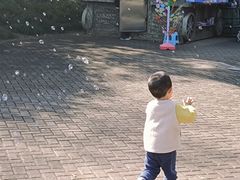-无锡动物园·太湖欢乐园