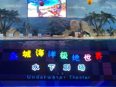 -泉城欧乐堡海洋极地世界