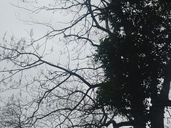 -吴山景区