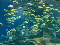 -海合安武汉极地海洋公园