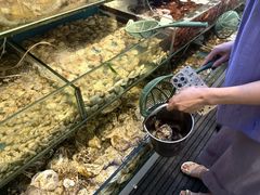 -仙螺岛海鲜自助餐厅(总店)