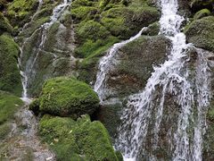 -神农架景区