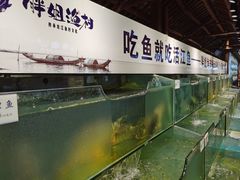 水产区-胖姐渔村(中源大道店)