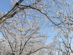 -龙美术馆西岸馆-停车场